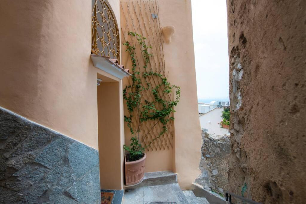 Il Giardino Dei Limoni Villa Positano Exterior photo